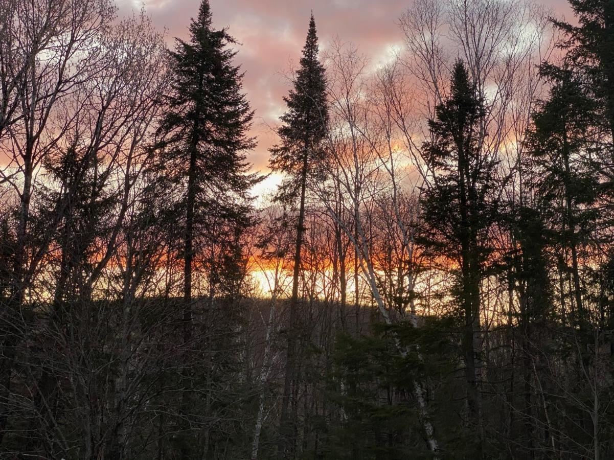 Chalets Et Studios Le Vent Du Nord Lac-Superieur エクステリア 写真