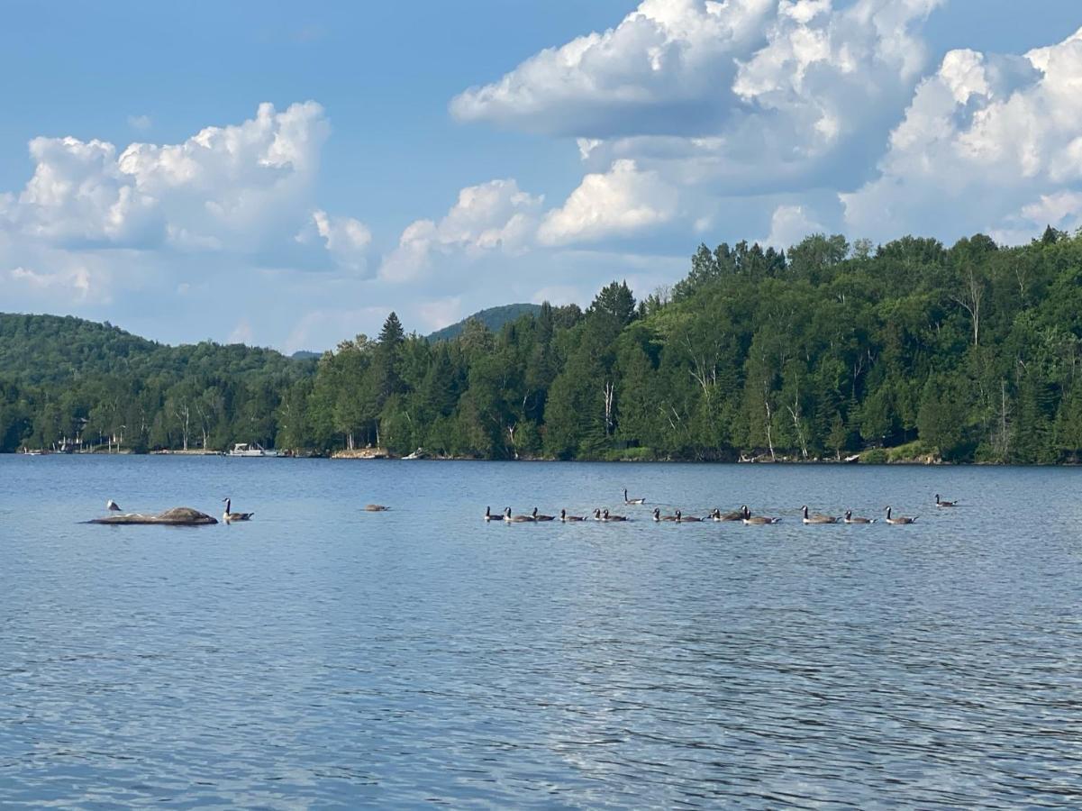Chalets Et Studios Le Vent Du Nord Lac-Superieur エクステリア 写真
