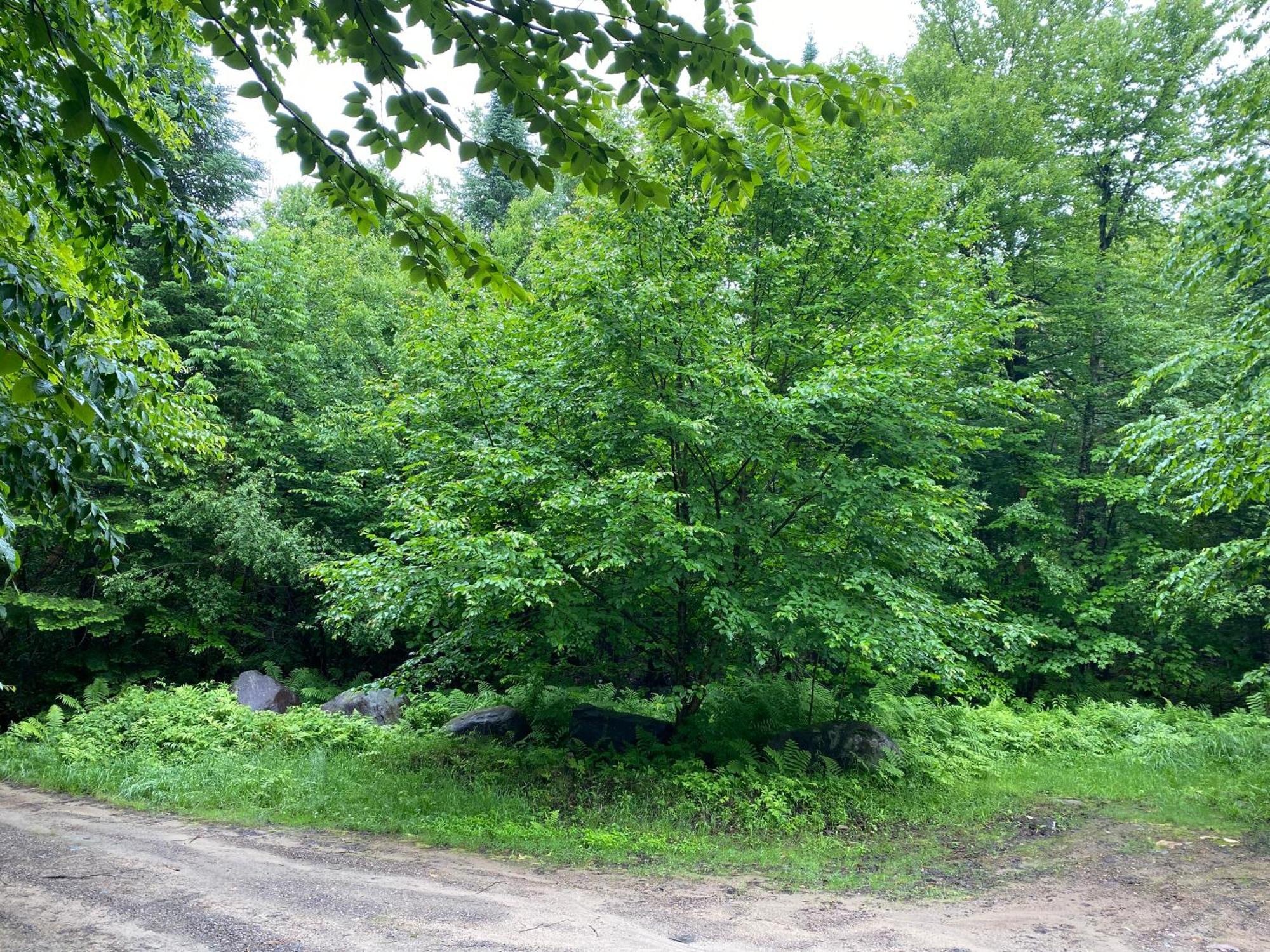 Chalets Et Studios Le Vent Du Nord Lac-Superieur エクステリア 写真