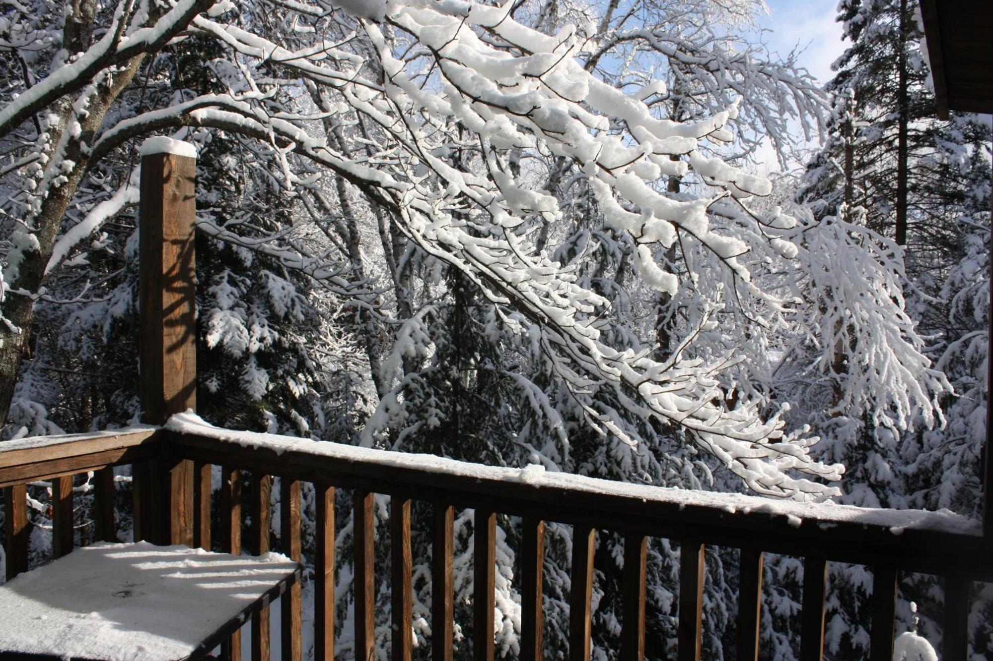 Chalets Et Studios Le Vent Du Nord Lac-Superieur エクステリア 写真