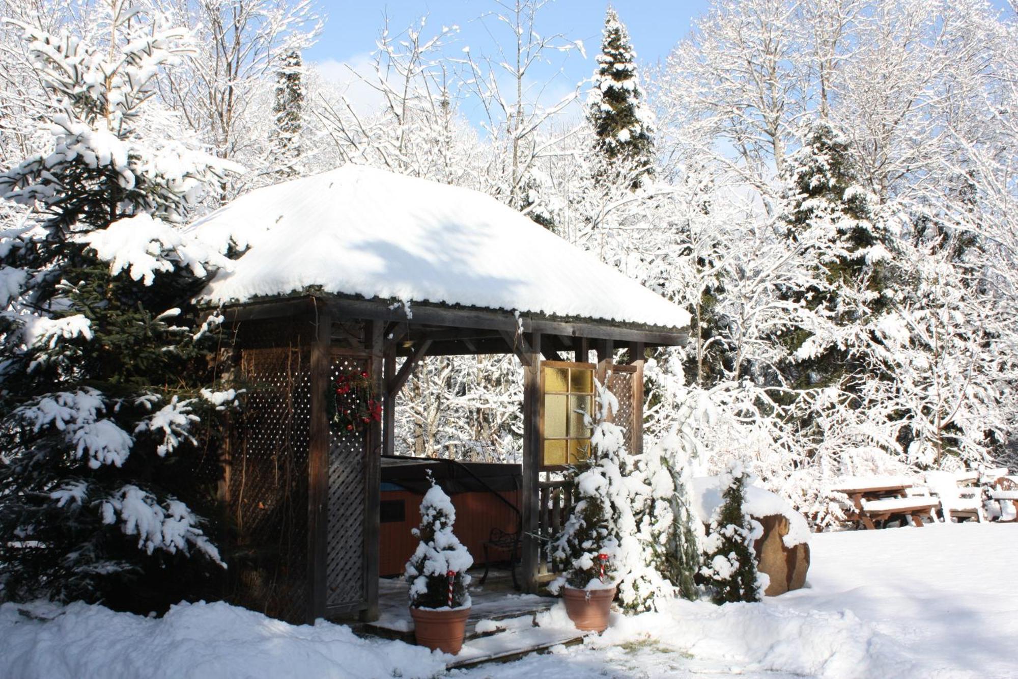 Chalets Et Studios Le Vent Du Nord Lac-Superieur エクステリア 写真